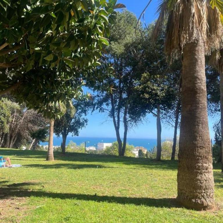 Estudio con Piscina y Jardines Benalmadena - Apartamento de 1 dormitorio - 5