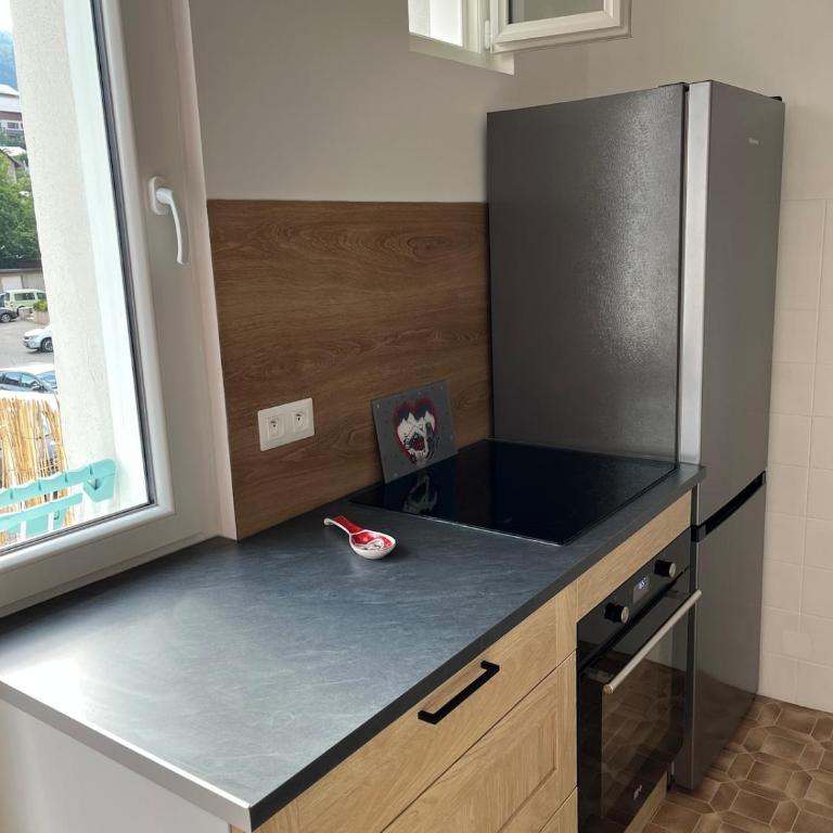 Le refuge des Marmottes, cœur de Briançon, près des pistes - Appartement 2 Chambres - 13