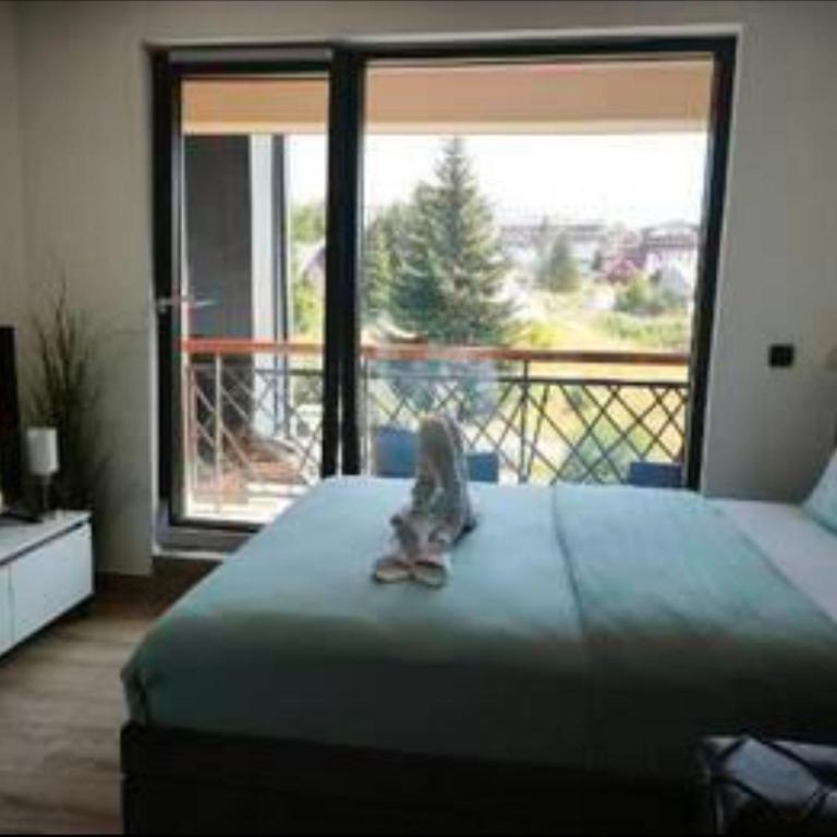 N&M apartmani - Appartement 1 Chambre - 41