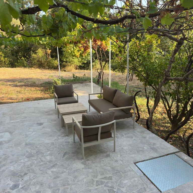 Wild Beauty Premium Apartment - Deluxe One-Bedroom Apartment with Garden View - 10