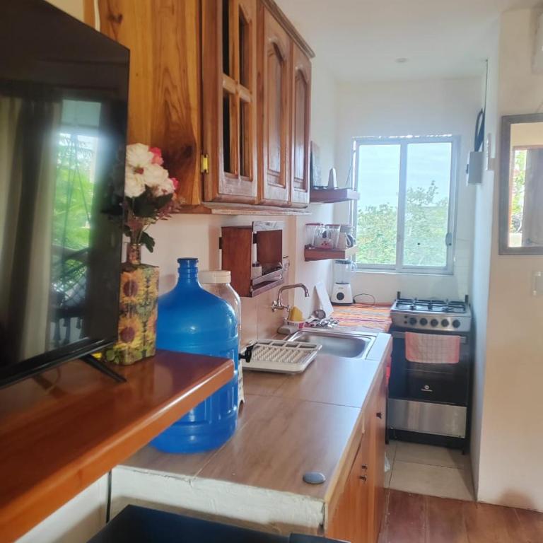 Hostal Cabañas Don Jorge - Habitación Doble Deluxe (2 adultos + 1 niño) - 10