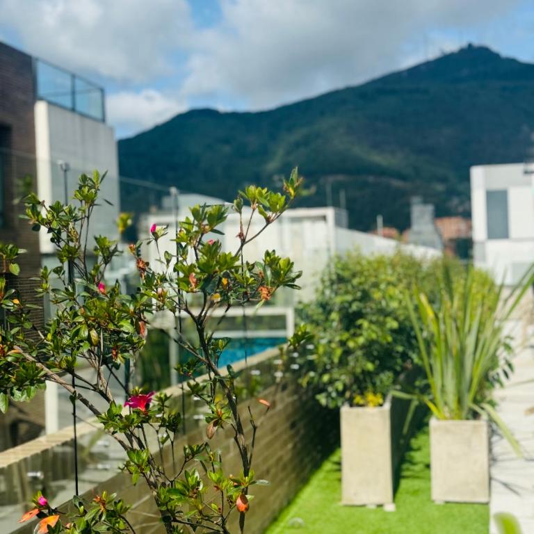 Maravilloso apto con balcón parque de la 93 - Apartamento de 1 dormitorio - 20