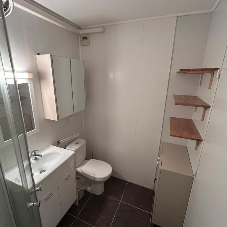 Studio Florélie PLA D'ADET - Apartamento de 2 dormitorios - 32