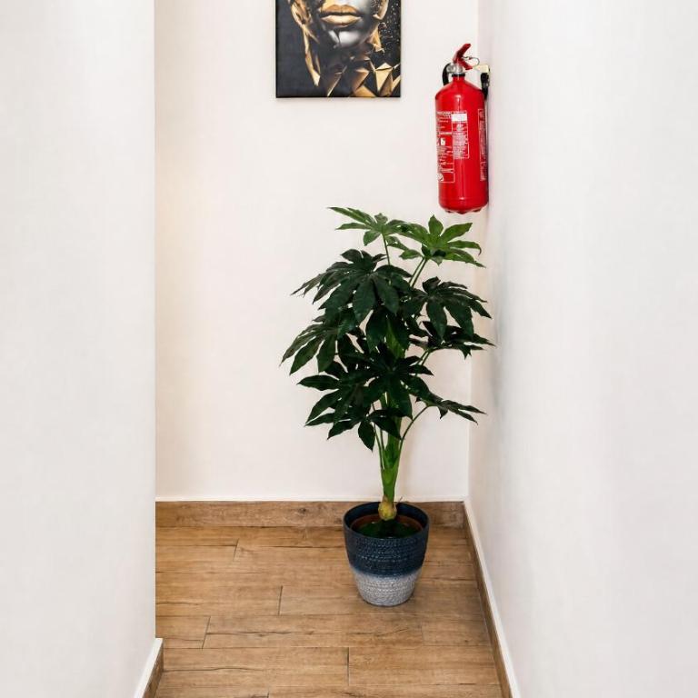 Forlanini House - Catania City Centre - One-Bedroom Apartment - 6