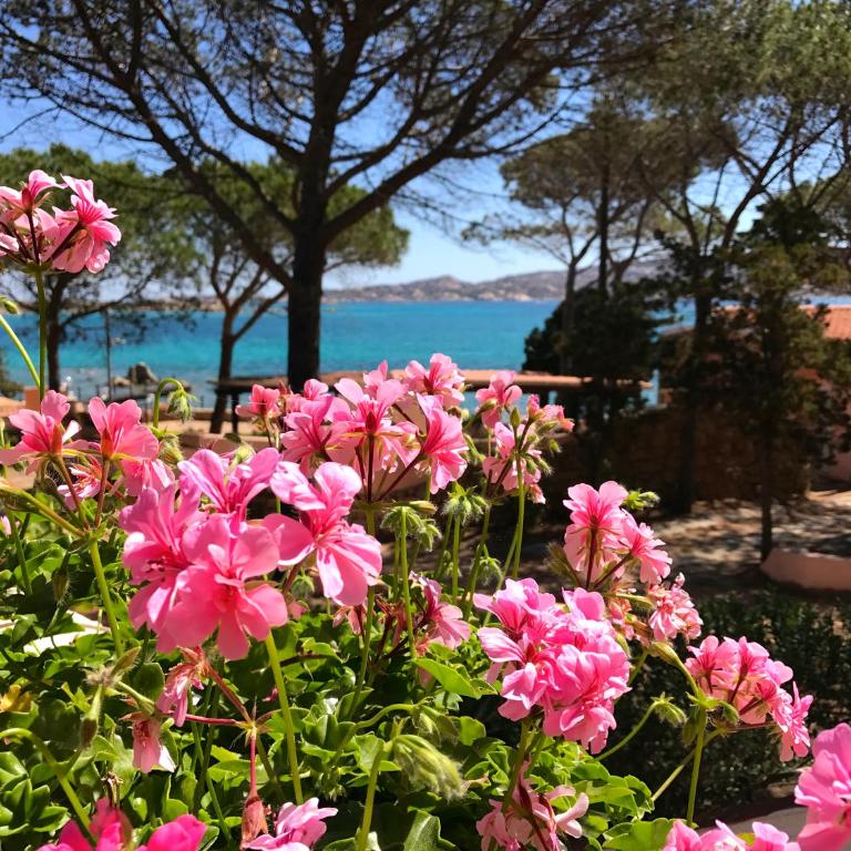 Villa La Maddalena - Villa - 12