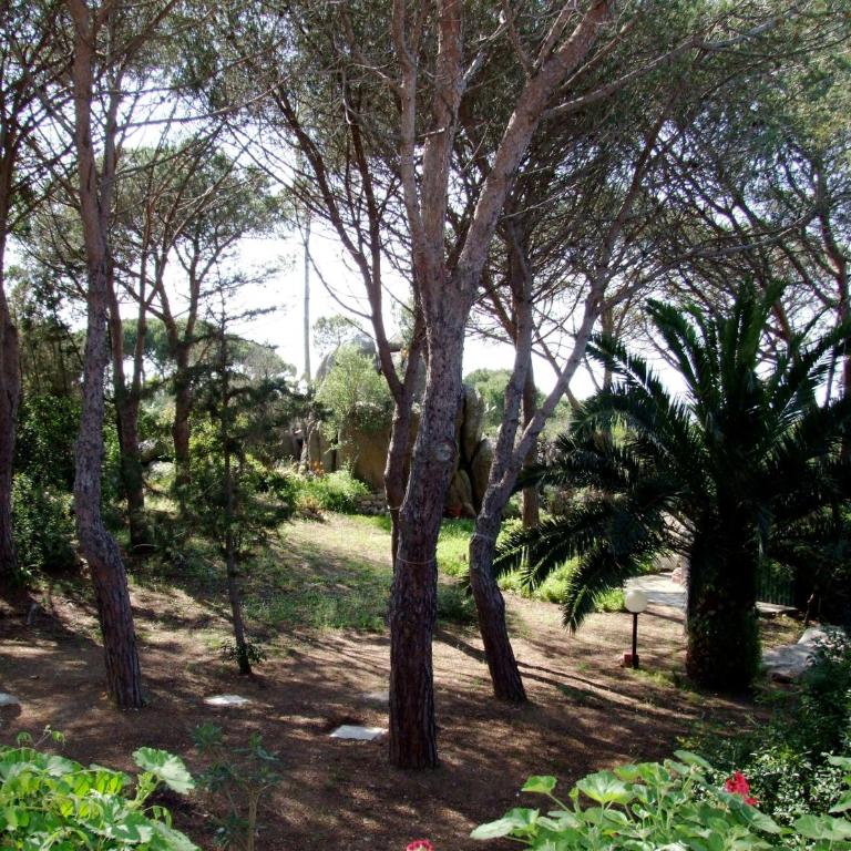 Villa La Maddalena - Villa - 49