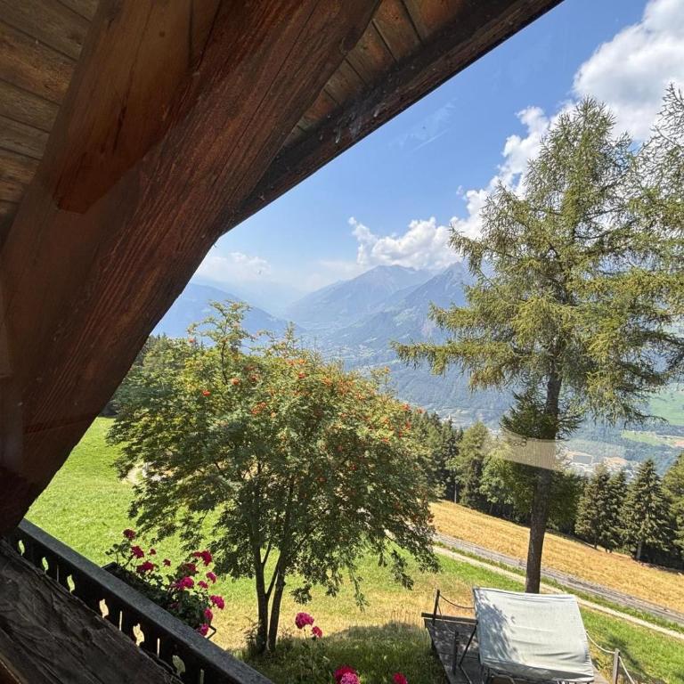 Bergchalet Ifinger - Chalet - 3