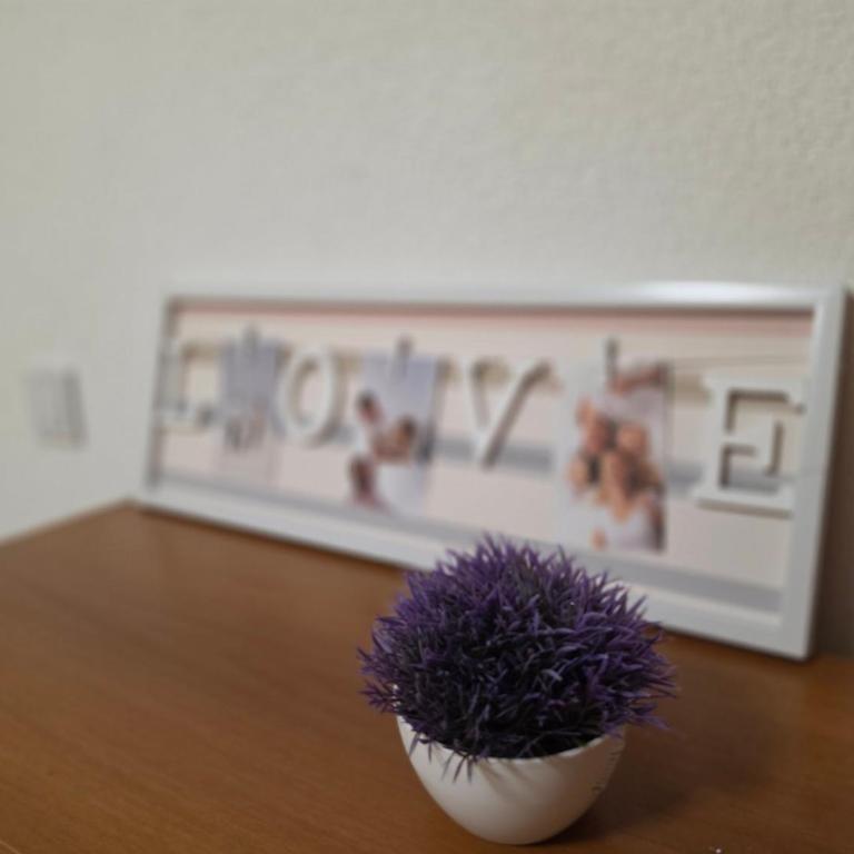 Vila Knežević - Apartman sa 2 Spavaće Sobe - 4