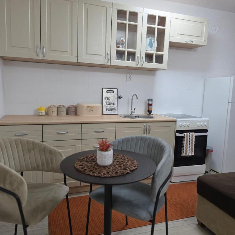 Vila Knežević - Apartman sa 2 Spavaće Sobe - 9