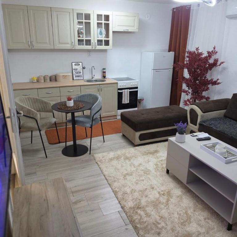 Vila Knežević - Apartman sa 2 Spavaće Sobe - 10