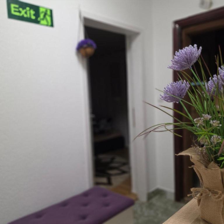 Vila Knežević - Apartman sa 2 Spavaće Sobe - 16