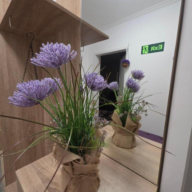 Vila Knežević - Apartman sa 2 Spavaće Sobe - 37