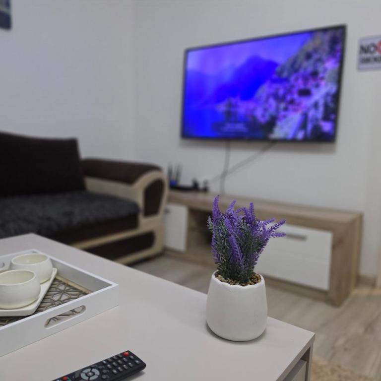 Vila Knežević - Apartman sa 2 Spavaće Sobe - 44