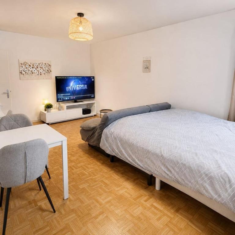 apartment near the city center - Appartement 2 Chambres - 1