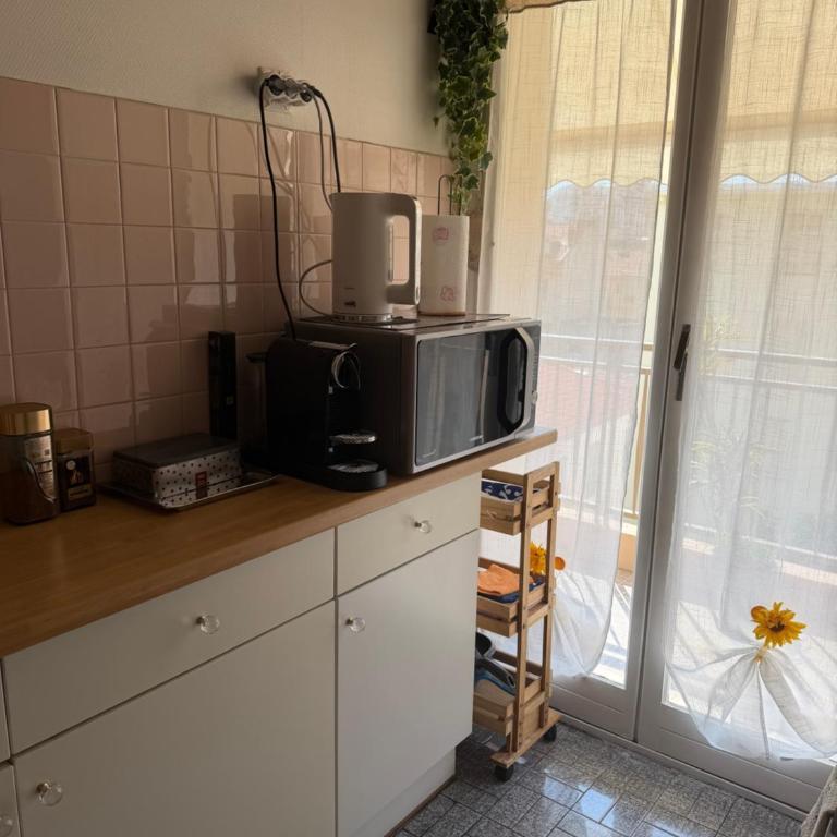 Nice center Aviva's-home - Appartement 1 Chambre - 26