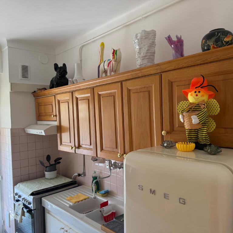 Nice center Aviva's-home - Appartement 1 Chambre - 30