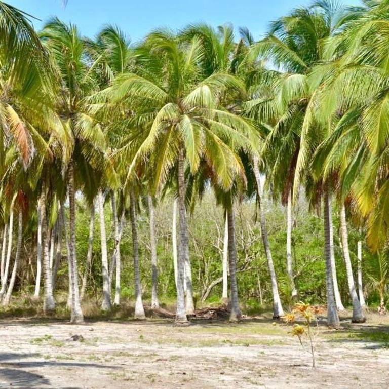 Isla Privada | A/C en Habitaciones - Double Room with Park View - 17