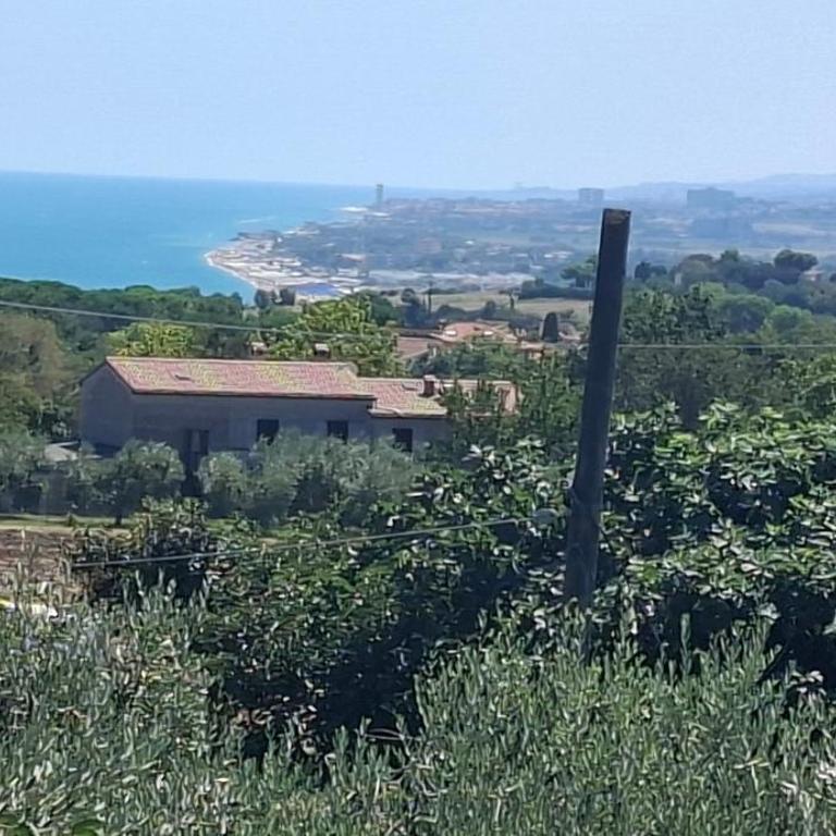 Sirolo vista mare- Garage privato- Centro a 700 m - One-Bedroom Apartment - 4