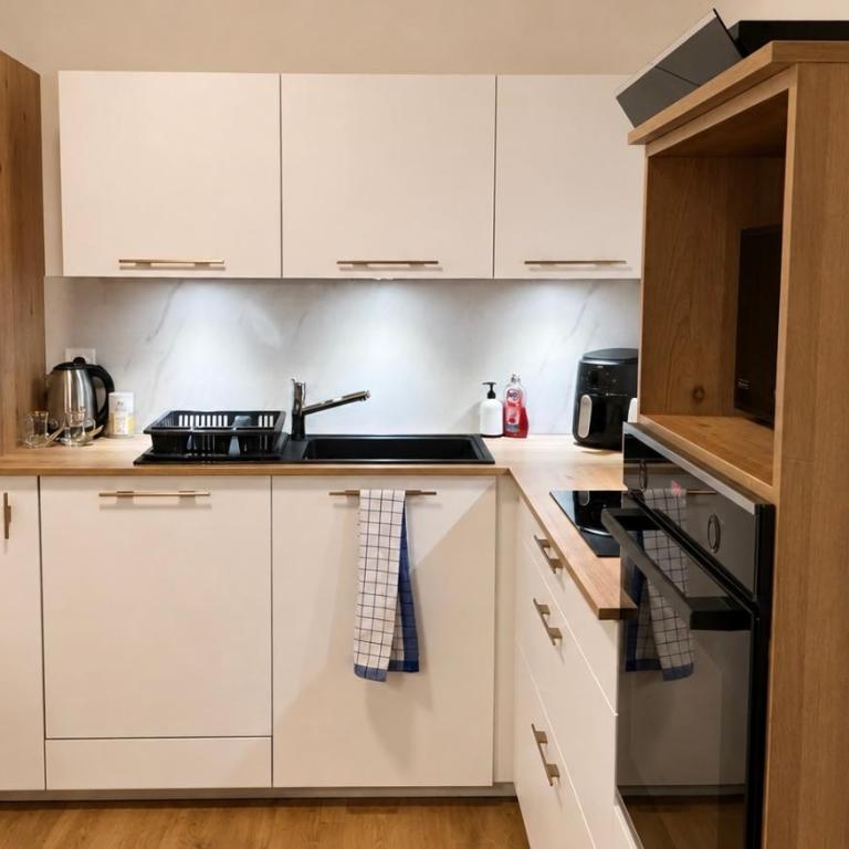 Lili & Derya - Apartment in Colmar, Mountain View, Private parking - Appartement 2 Chambres - 10