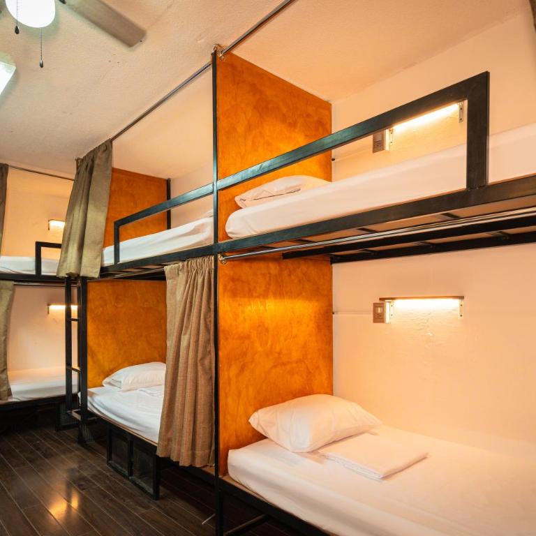 Hostal Vibes - Cama individual en dormitorio compartido de 10 camas - 8