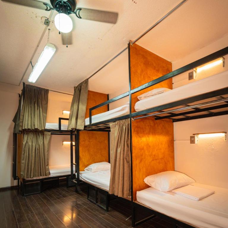 Hostal Vibes - Cama individual en dormitorio compartido de 10 camas - 3
