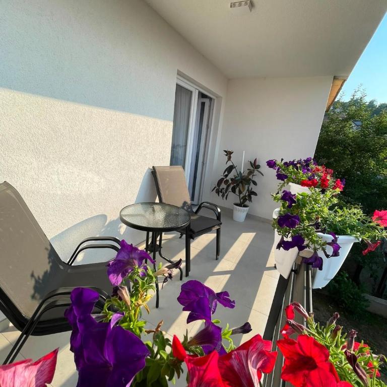 Guest House Amra - Appartement 3 Chambres - 18