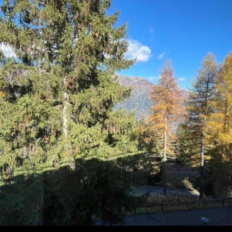 Residence Sole Alto Marillleva 1400 - vista bosco - Appartamento con 2 Camere da Letto - 40