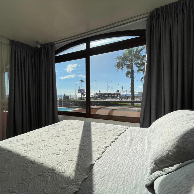 Departamento 7 personas en Avenida del Mar en La Serena - Apartamento - 17