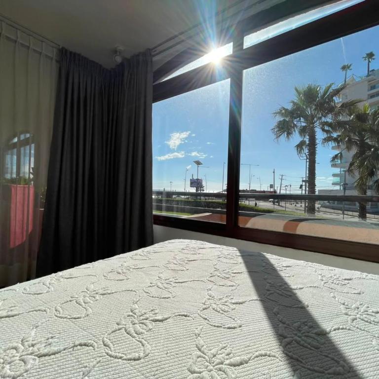 Departamento 7 personas en Avenida del Mar en La Serena - Apartamento - 22