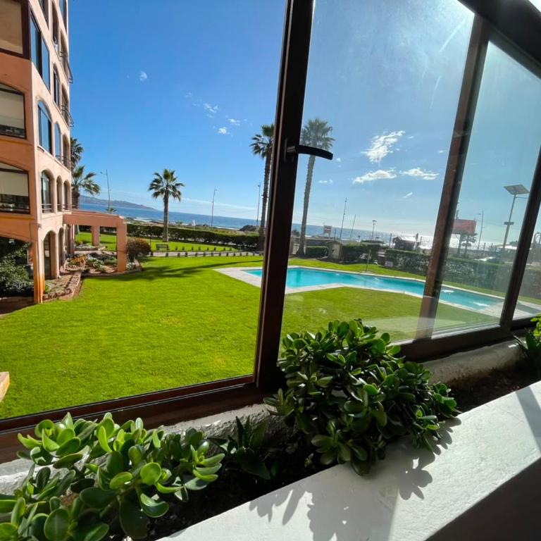 Departamento 7 personas en Avenida del Mar en La Serena - Apartamento - 24