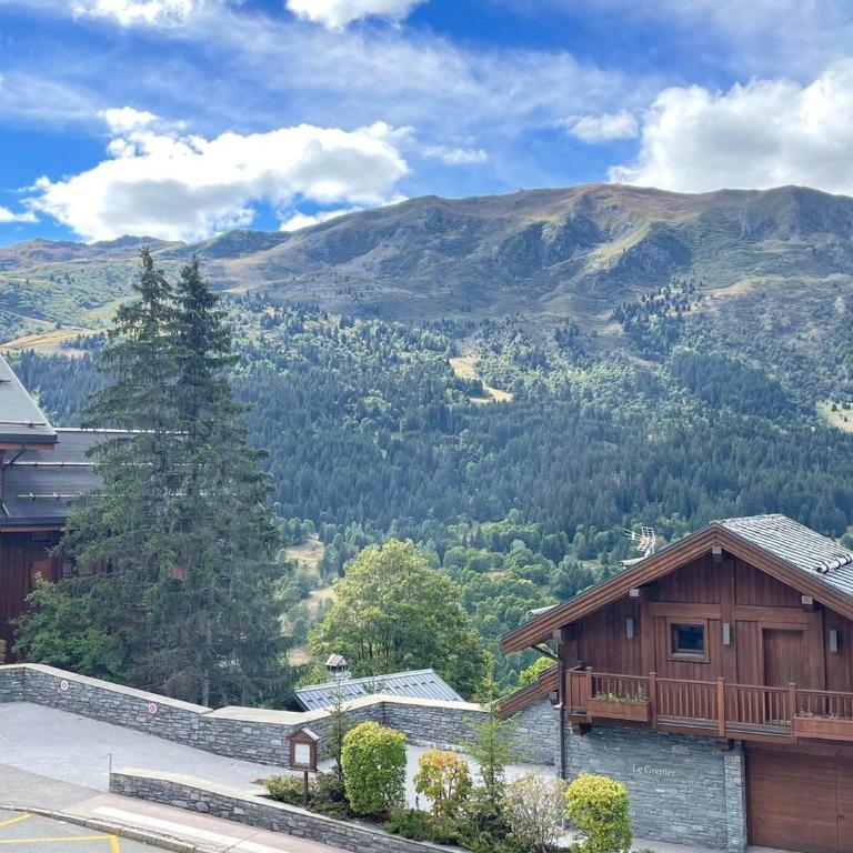 Appartement cosy, parking - 4 pers. - FR-1-411-1041 - Appartamento con 2 Camere da Letto - 4