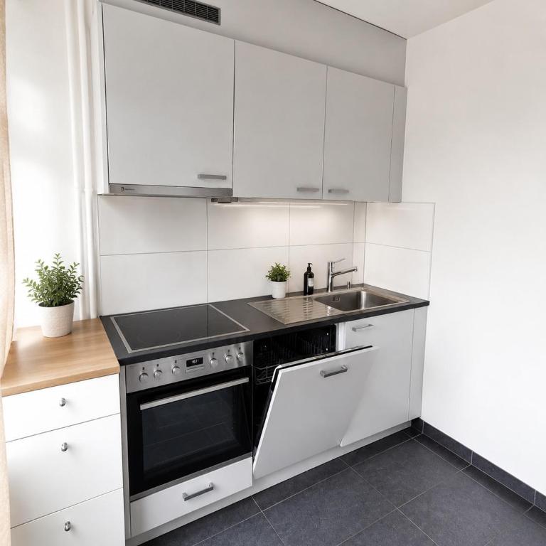 apartment near the city center - Appartement 2 Chambres - 2