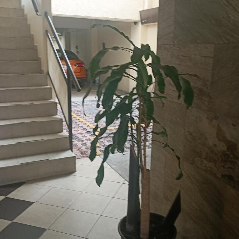 Entire serviced apartment, downtown and GNP 15 minutes away - Apartamento de 1 dormitorio - 2