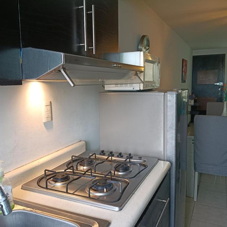 Entire serviced apartment, downtown and GNP 15 minutes away - Apartamento de 1 dormitorio - 7
