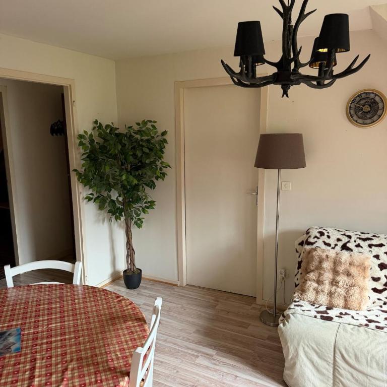 Appartement T2 centre ville Bagnères-de-Luchon - One-Bedroom Apartment - 2
