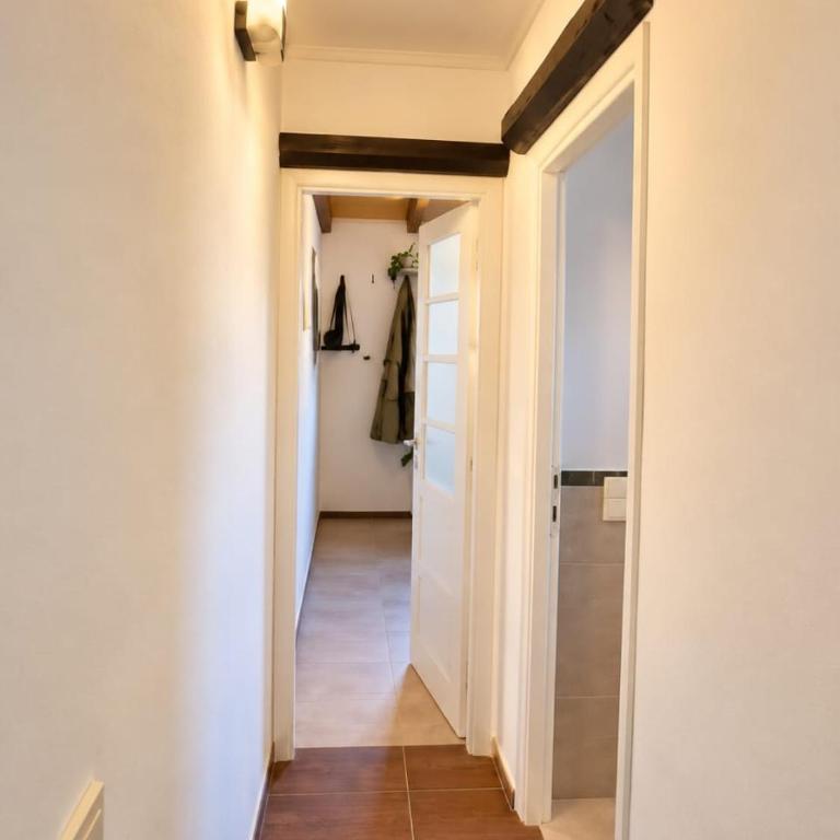 Mathis aparte ser 1 - One-Bedroom House - 3