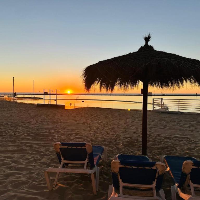 San Alfonso del Mar la mejor vista de Algarrobo - Apartamento de 3 dormitorios con vistas al mar - 50
