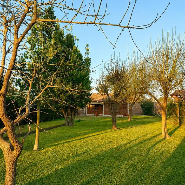 Casa mendocina con gran jardín y parrilla - Casa de 2 dormitorios - 6