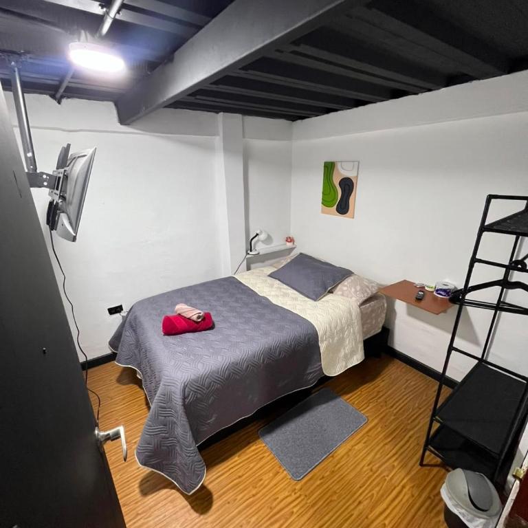 Apartamento Completo de 3 hab Quinto piso - Apartamento de 3 dormitorios - 22