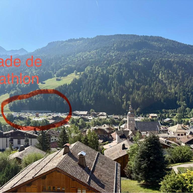 Appart Anilou Le Grand-Bornand,la Clusaz proche Annecy - Appartement 3 Chambres avec Balcon - 9