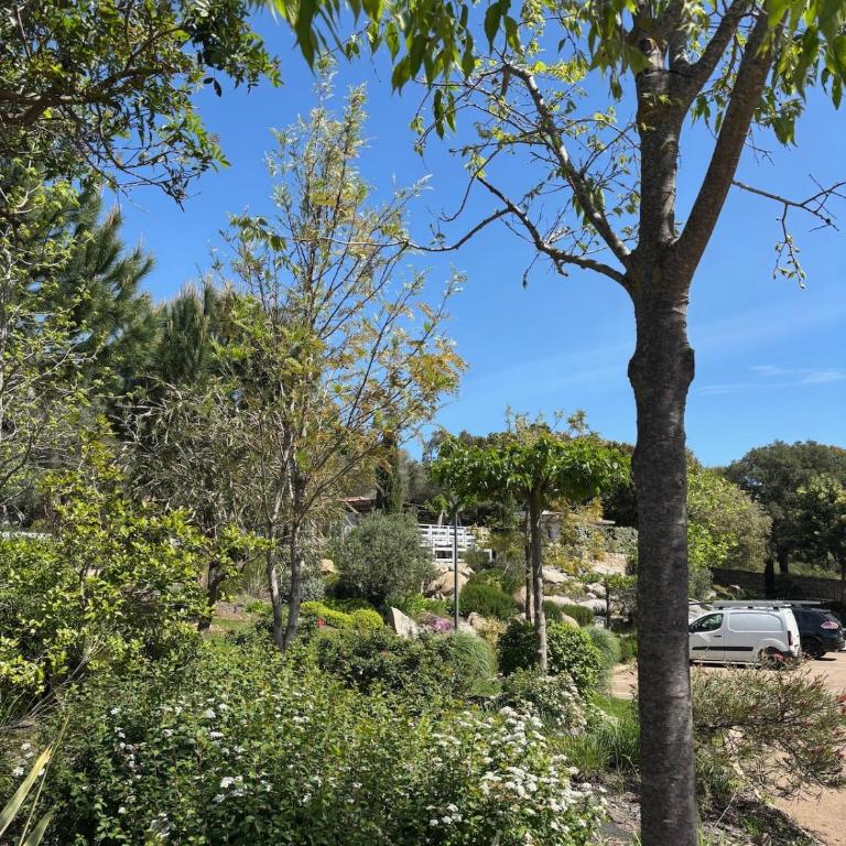 Appartement 4 personnes Domaine d'Arca à Porto-Vecchio - Appartement 2 Chambres - 19