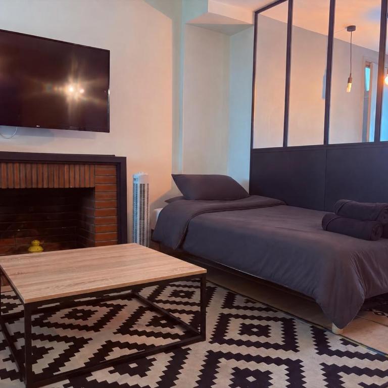 La Basse Vieille Tour - 473 - Studio Apartment - 13