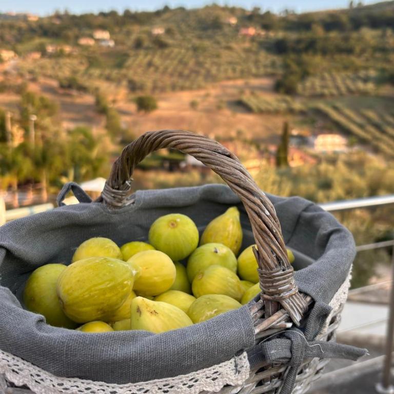 Villa Frascinelle 2 - Appartamento con Vista Giardino - 22
