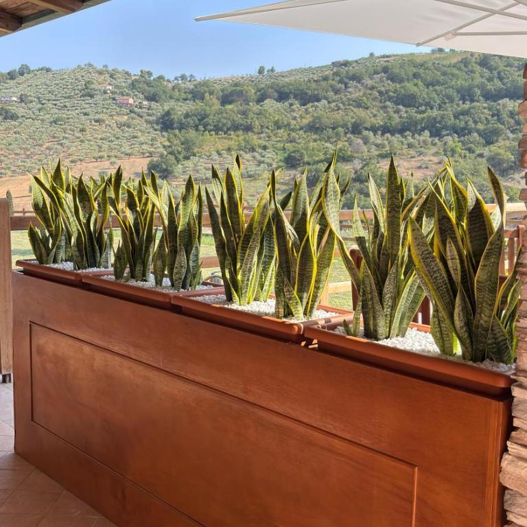 Villa Frascinelle 2 - Appartamento con Vista Giardino - 47