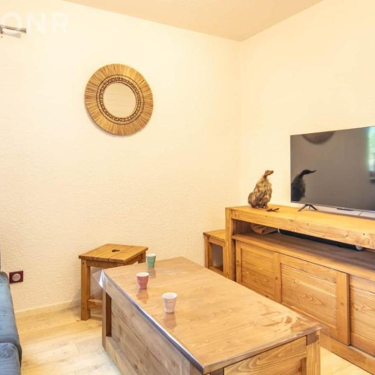 trip des neiges - Appartement - 22