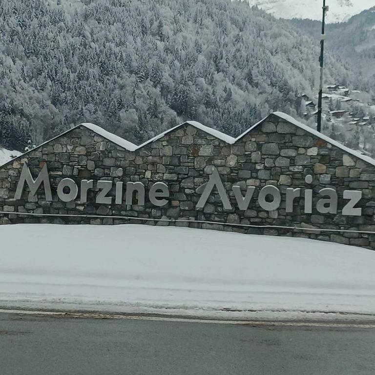 Le Morzinois - Appartement 1 Chambre - 16