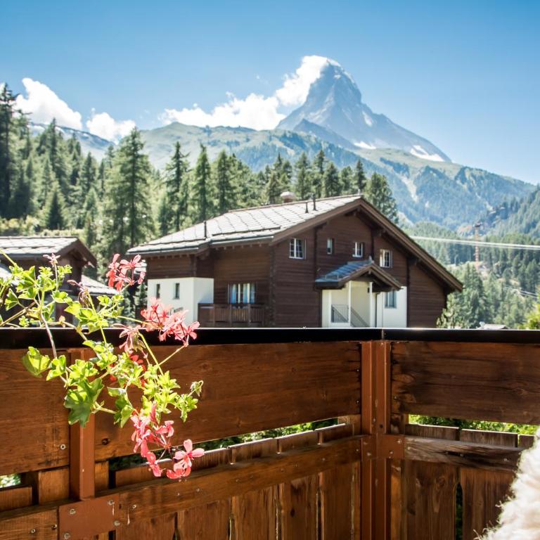 Chalet Bull Zermatt - Apartamento de 2 dormitorios con vistas a la montaña - 1