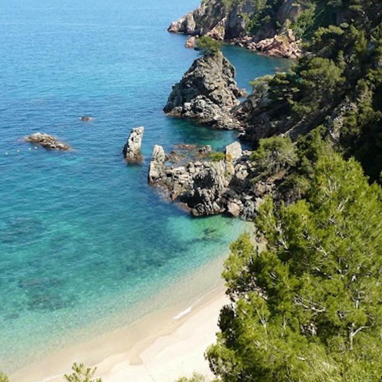 Apartament Antic Plankton - Calella Palafrugell - Free Parking, Beach, Wifi, Perfect holidays - Apartamento de 2 dormitorios - 74