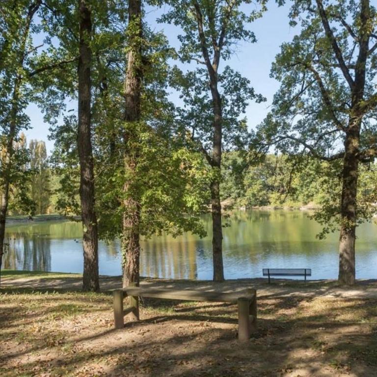Le Balcon Montdesir, 4 pers, Piscine et Lac - Apartamento con terraza - 13