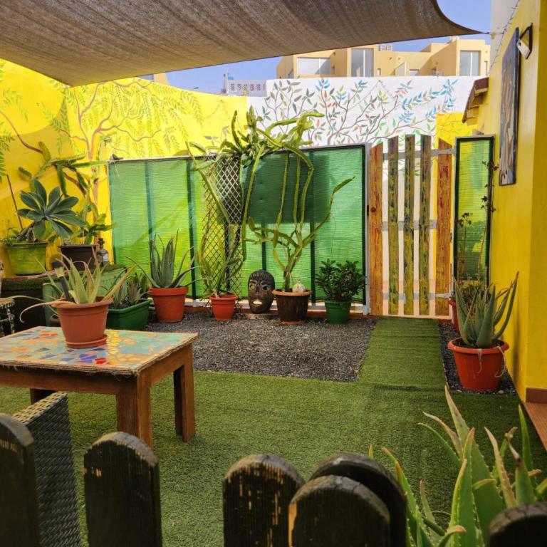 Casa Shangri-lá Botanical - Casa de 2 dormitorios - 75